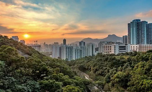 深圳一季度GDP同比下降6.6%，但房地產開發投資逆勢增長2.1%
